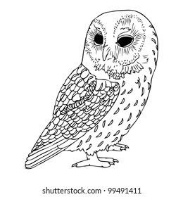 Original Hand drawing of Owl- vectorized.