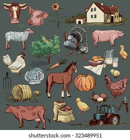 Original hand drawn farm collection with cow, goat, pig, chicken, rooster, horse, turkey, tractor, rakes, sunflowers, cabbage, carrots, eggs, milk, haystack