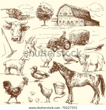 original hand drawn farm collection