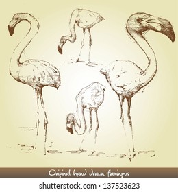 Original hand drawn flamingos