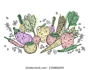 Original hand drawn sketch composition with vegetables and spices. Onion, corn, garlic, pepper, tomato, eggplant, carrot, cucumber, asparagus, beet, broccoli and cabbage isolated on white background