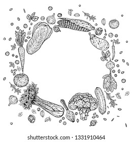 Original hand drawn sketch frame with vegetables and spices. Onion, corn, garlic, pepper, tomato, eggplant, carrot, cucumber, asparagus, beet, broccoli and cabbage.