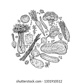 Original hand drawn sketch set of  vegetables and spices. Onion, corn, garlic, pepper, tomato, eggplant, carrot, cucumber, asparagus, beet, broccoli and cabbage.