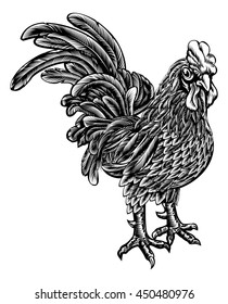 Original illustration of a chicken rooster bird in a vintage woodcut style