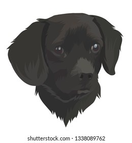 original illustration of a dog