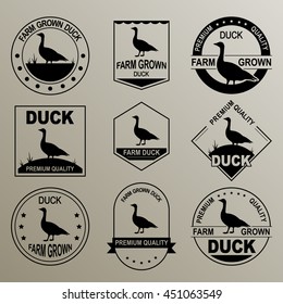 The original logo for the duck. Farm grown meat. Premium quality. Vector illustration. Grouped for easy editing.