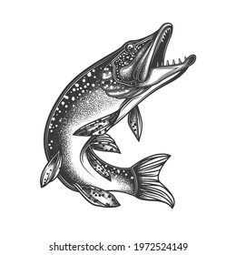 Original monochrome vector illustration on a white background. Pike fish. T-shirt design, stickers, print.
