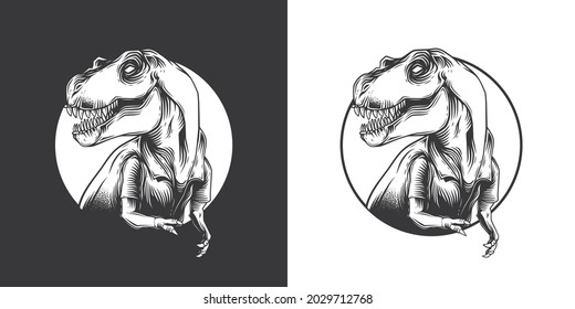 Original monochrome vector illustration of a Tyrannosaurus Rex on a black and white background. T-Rex