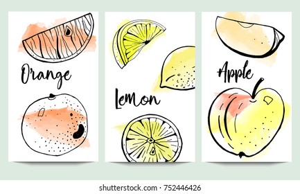 Original package design template with hand drawn orange, apple and lemon with slices on watercolor background.