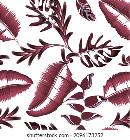The original pattern with tropical banana leaves and heliconia flower, monstera plants foliage on white background. Vector design. Jungle print. Textiles and printing. Floral background. Summer design