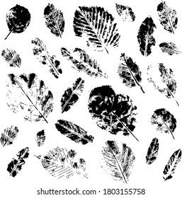 The original seal of nature. A set of simple leaves of 1 leaf. Unique manual leaf printing. Set of Botanical textured leaves. The painting is suitable for printing, textiles, and interior design.