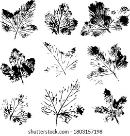 Das ursprüngliche Siegel der Natur. Eine Reihe von dreiteiligen Blättern. Einzigartiger manueller Blattdruck. Satz von botanisch strukturierten Blättern. Das Gemälde eignet sich für Druck, Textilien und Innenausstattung.