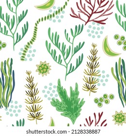 Original seamless pattern with sea weeds for design, decor and textile. 