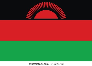 original and simple Malawi present flag isolated vector in official colors and Proportion Correctly