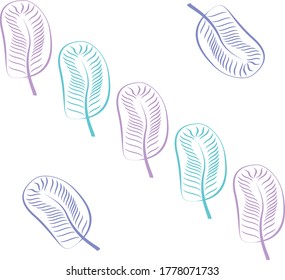 Original stylized banana leaves. Abstract. Color. On white background.