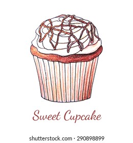 Original sweet cupcake drawn by color pencils. Vector illustration of isolated object on white background.