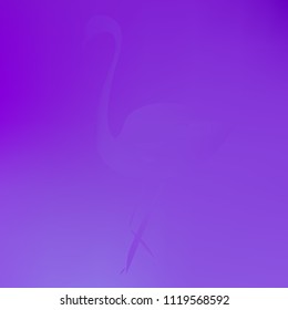 Original vector gradient with flamingo. Cute texture in blue colors. Stylish deep colors background.