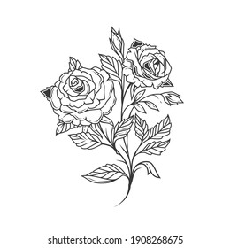 Rose Flower Drawing Illustration Black White Stock Vector (Royalty Free ...