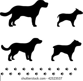 Original Vector Illustration: four dog breeds with paw tracks AI8 compatible