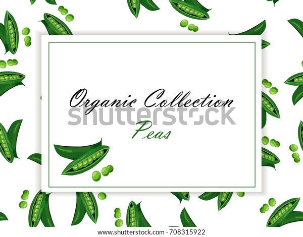 Original Vector Illustration Logo Whole Ripe Stock Vector (Royalty Free ...