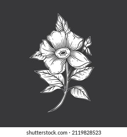 Original vector illustration of monochrome flowers.