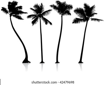 Original Vector Illustration: palm trees background File is AI8 compatible