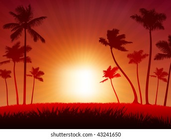 Ilustración vectorial original Fondo del atardecer ideal para ideas tropicales