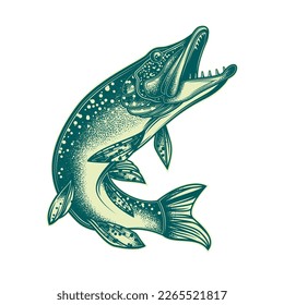 Original vector illustration in vintage style. Fish-pike. T-shirt design, stickers, print.
