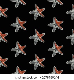 Original vector seamless pattern in vintage style. Starfish on a black background. A design element.