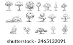 Original vector set, collection of trees hand-drawn line art, ink style, concept design. isolated silhouette on white background. black outline sketch illustration. Cower drawing. Black-white icon.