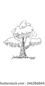 Original vector tree hand-drawn line art, ink style, concept design. isolated silhouette on white background. black outline sketch illustration. Cower drawing. Black-white icon.