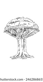 Original vector tree hand-drawn line art, ink style, concept design. isolated silhouette on white background. black outline sketch illustration. Cower drawing. Black-white icon.