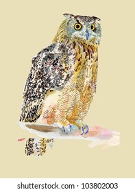 original watercolor painting of bird, owl on a branch (Bubo Virginianus Subarcticus). I am author of this illustration. Vector version