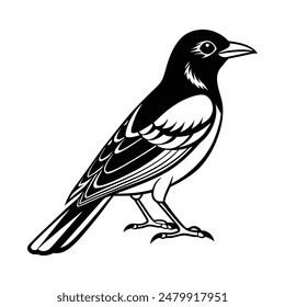 Oriole Bird Silhouette Vector Illustration