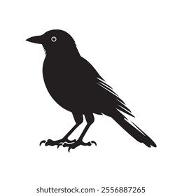 Oriole Bird Silhouette Vector Illustration
