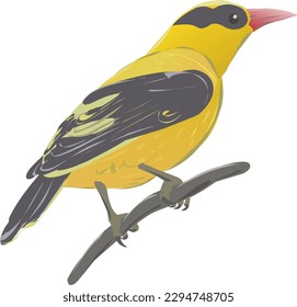 an oriole bird with yellow and black feathers perched on a tree branch
