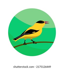 Oriole forest songbird. Sitting on a tree branch. Beautiful yellow wild bird. Animals and fauna of wild nature. Zoology and ornithology. Vector flat round illustration
