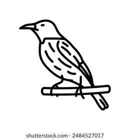 Oriole Outline Icon, Vector illustration