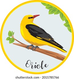 Oriole sits on a branch. Sticker for design. Vector