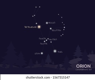 Orion Constellations. Stars in the night sky.