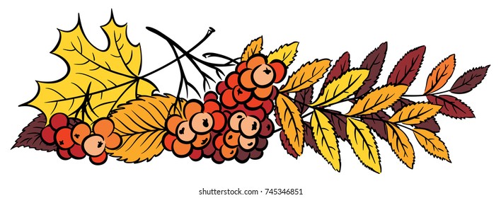 ornament in the band: autumn leaves and rowan