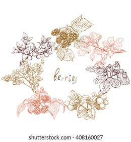 Ornament from berries, wreath