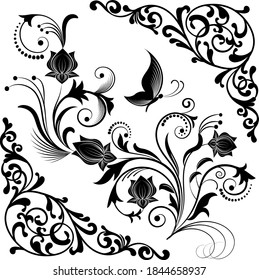 Ornament in black on a white background.Illustration with floral ornaments in black and a frame on a white background.