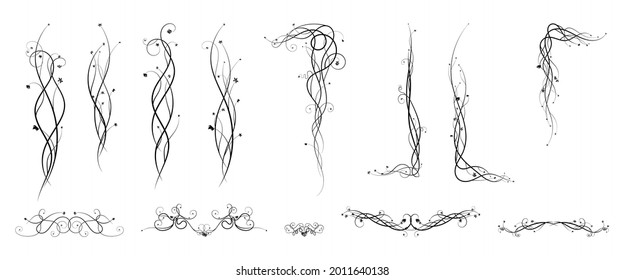 ornament elements grapes climbing plant. sketch style drawing