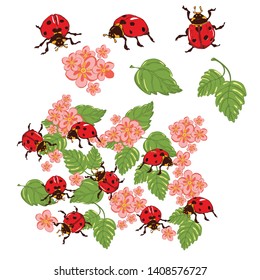 ornament elements pink flowers, green leaves and ladybugs