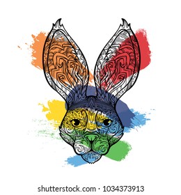 Ornament face of bunny, rabbit in line art style, color pain on back, vector illustration isolated on white background