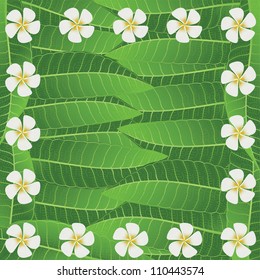 Ornament of frangipani flowers and leaves