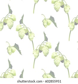 Ornament hops on white background, vector illustration