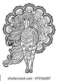 Ornament Horse vector. Beautiful illustration Horse for design, print clothing, stickers, tattoos, Adult Coloring book. Hand drawn animal illustration. Bohemian  lace