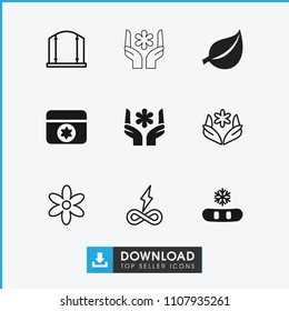 Ornament icon. collection of 9 ornament filled and outline icons such as snowflake, gate, flower, endless battery. editable ornament icons for web and mobile.